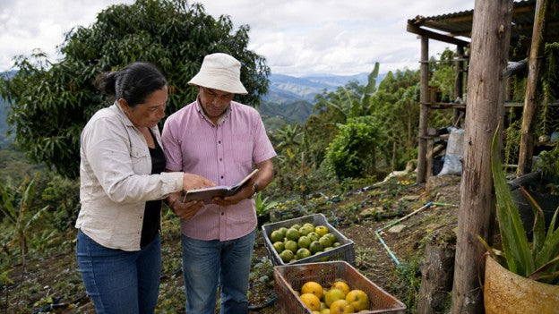Gestionar el Sistema Productivo como un conjunto: cinco preguntas para decidir mejor