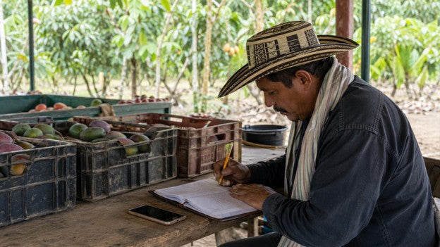 Tecnificar también es registrar: cinco datos que ayudan a decidir en el campo