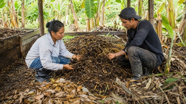 De residuo a recurso: cómo evaluar lo que tu predio puede aprovechar