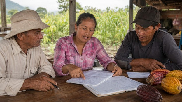 Mujer rural: del trabajo cotidiano a nuevas oportunidades