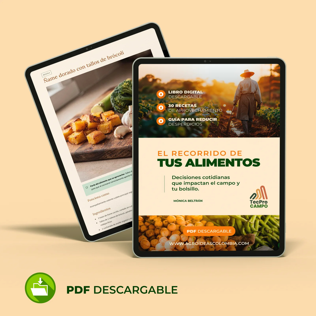 El recorrido de tus alimentos