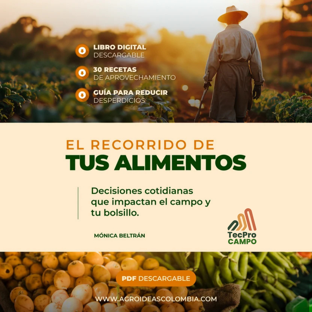 El recorrido de tus alimentos