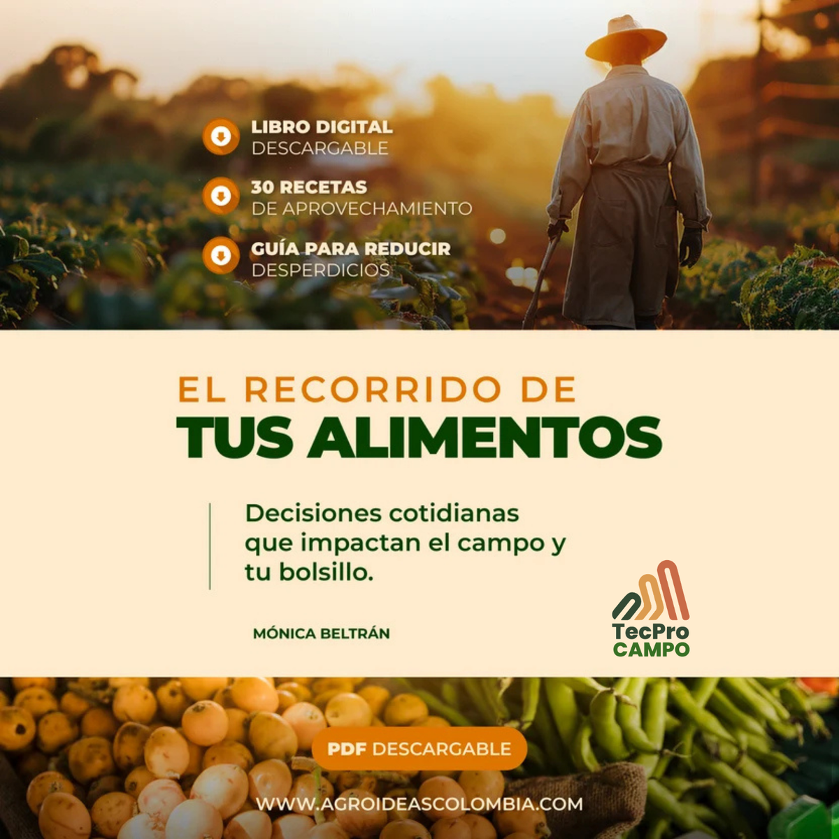 El recorrido de tus alimentos