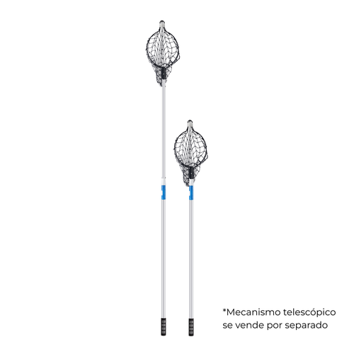 Canastilla Cosechadora de Mango